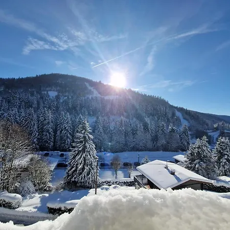 La Bresse Nature And Glisse Exterior photo