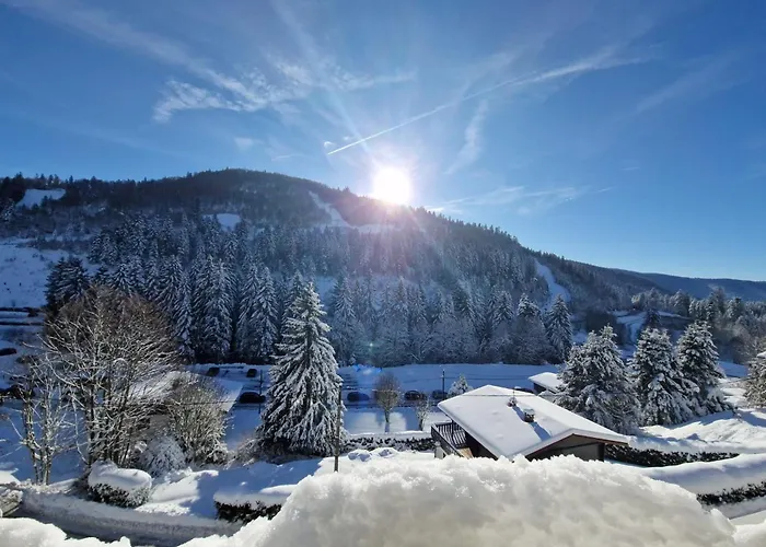 La Bresse Nature And Glisse